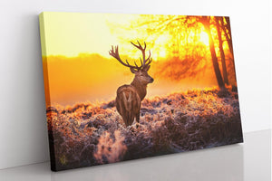 Framed 1 Panel - Deer Art