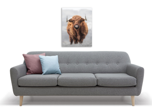 Framed 1 Panel - Highlander Cow