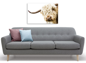 Framed 1 Panel - Highlander Cow