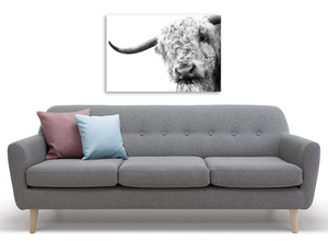 Framed 1 Panel - Highlander Cow