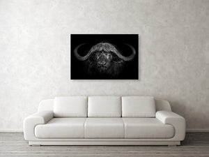 Framed 1 Panel - Buffalo Art