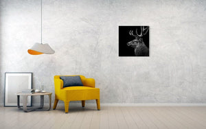 Framed 1 Panel - Deer Art