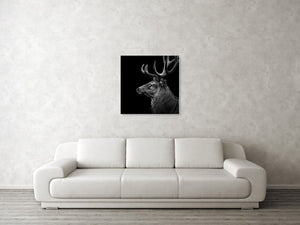 Framed 1 Panel - Deer Art
