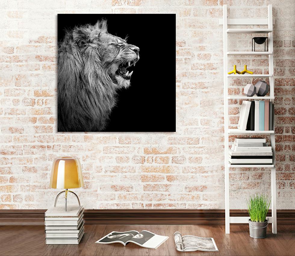 Framed 1 Panel - Lion Art