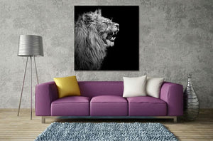 Framed 1 Panel - Lion Art