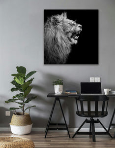 Framed 1 Panel - Lion Art