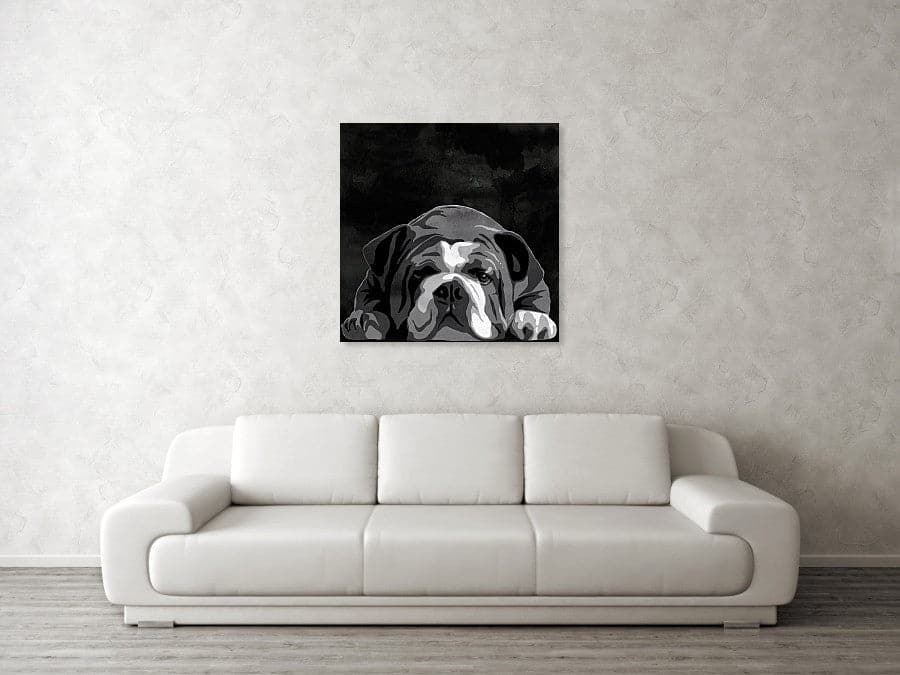 Framed 1 Panel - Bull Dog