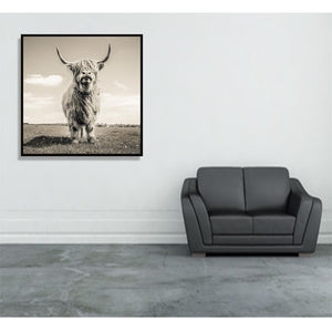 Framed 1 Panel - Highlander Cow
