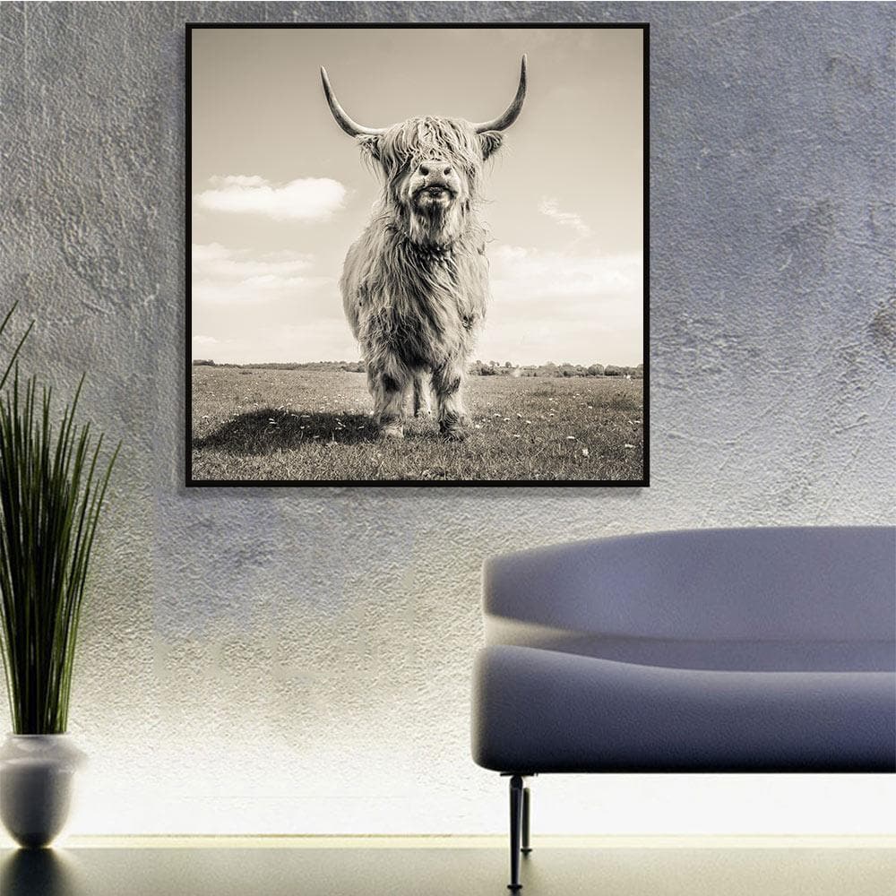 Framed 1 Panel - Highlander Cow