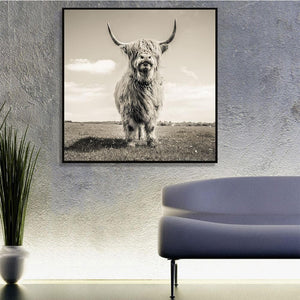 Framed 1 Panel - Highlander Cow