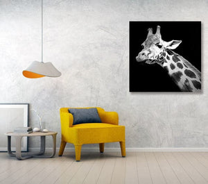 Framed 1 Panel - Giraffe Art