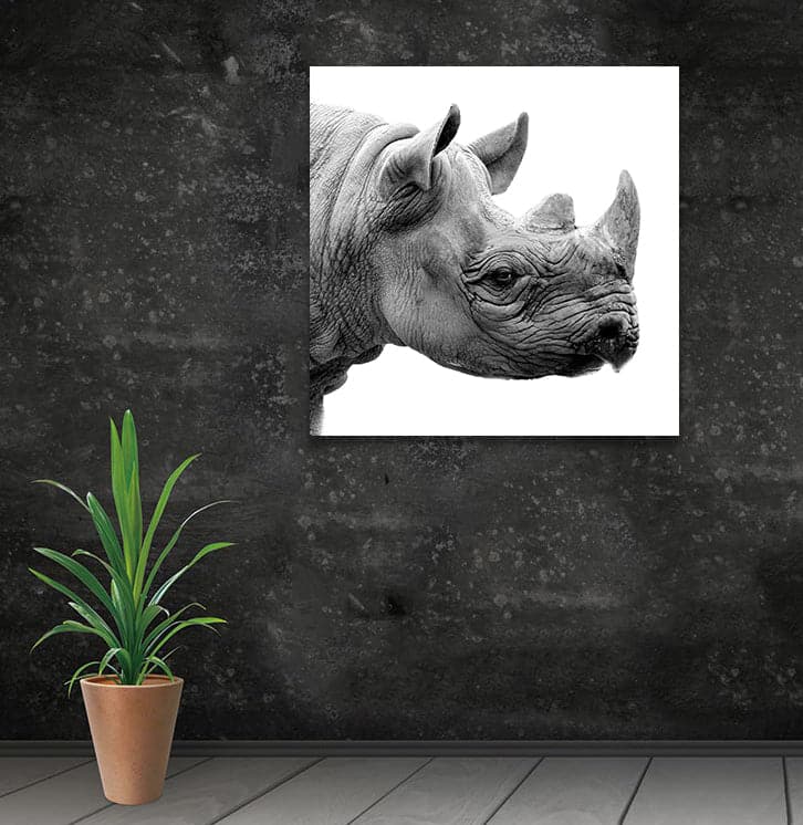 Framed 1 Panel - Rhino Art