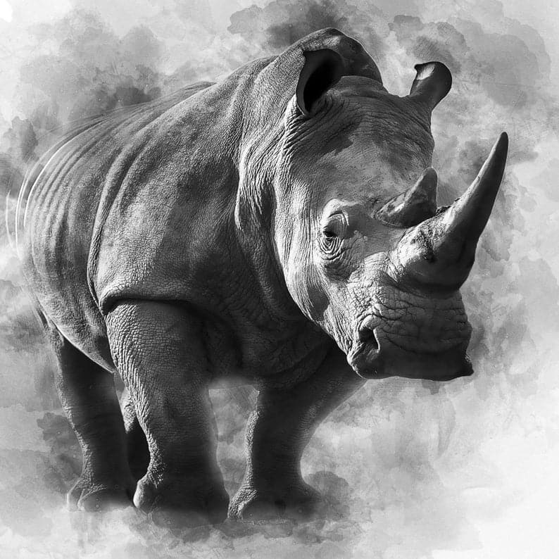 Pine Stretched  Framed 1 Panel - Rhino Art