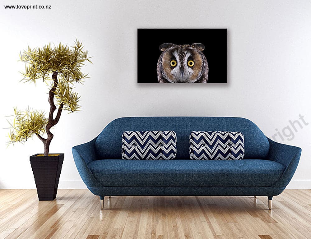 Framed 1 Panel - Owl
