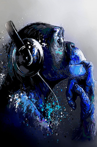 Framed 1 Panel - DJ Monkey