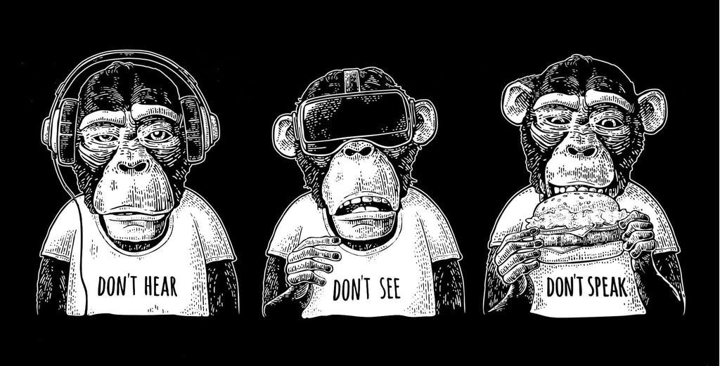 Pine Stretched  Framed 1 Panel - Don't Hear Don't See Don't Speak