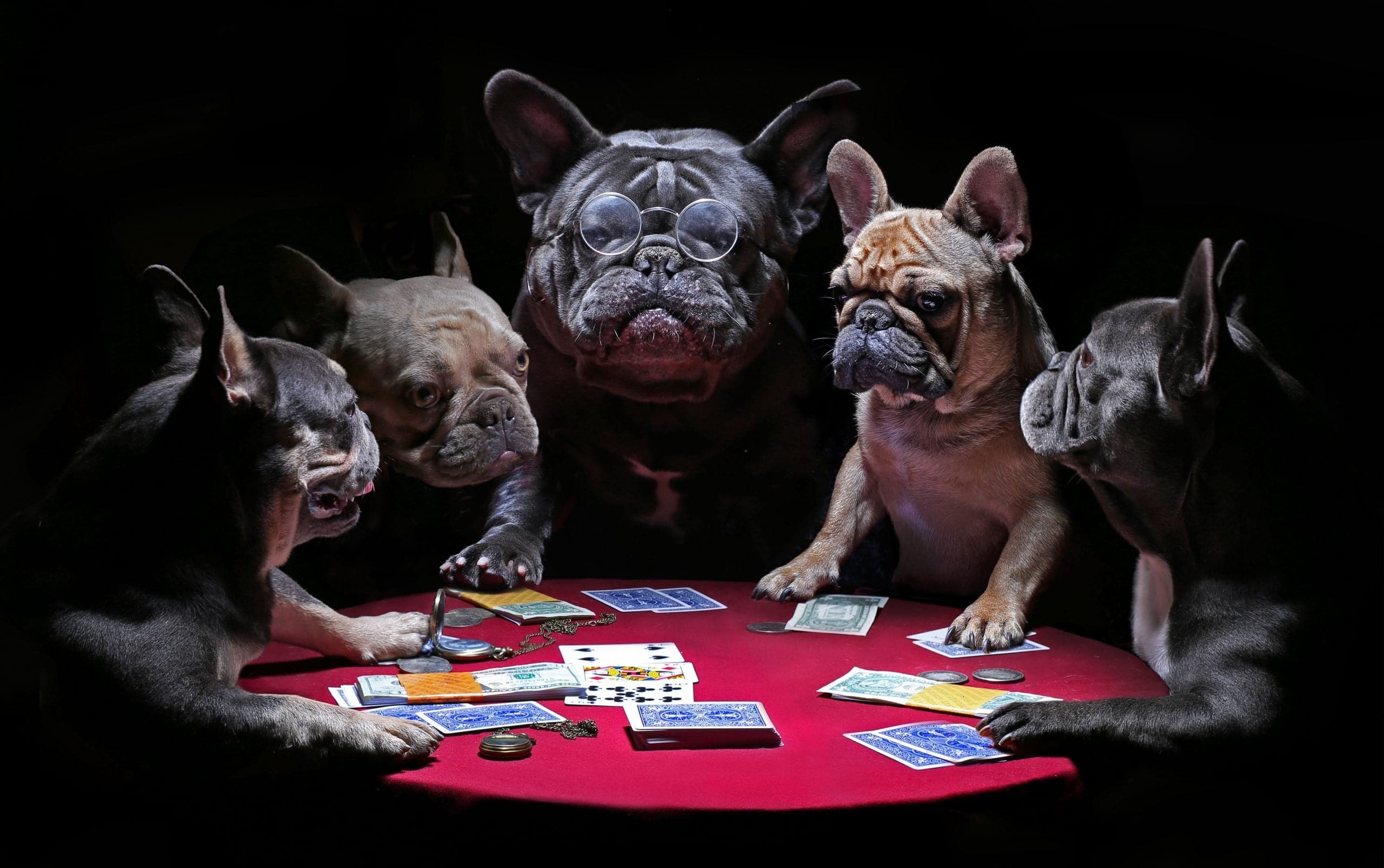 Framed 1 Panel - Bulldog Gambling