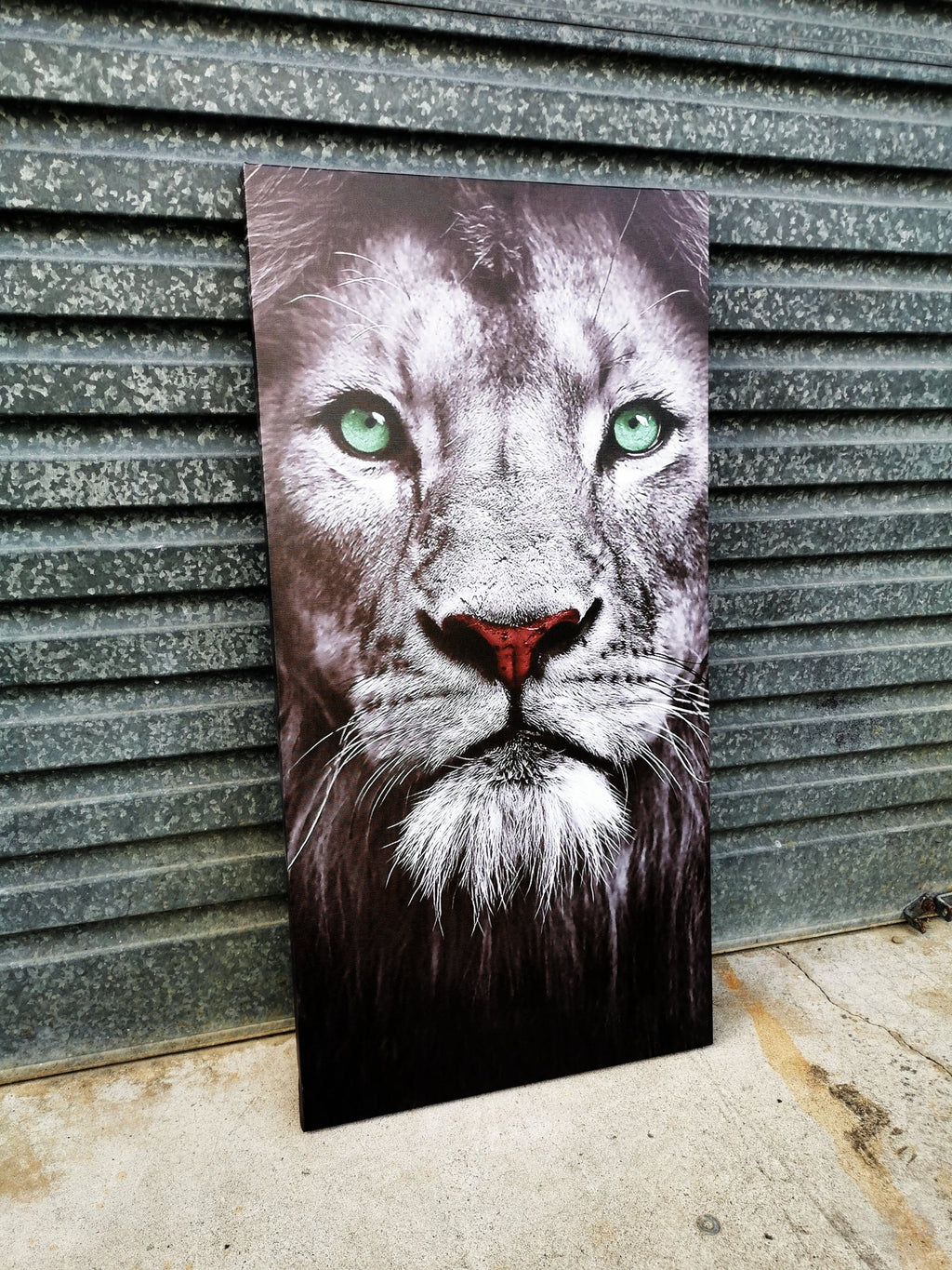 Pine Stretched  Framed 1 Panel - Finished Products - Lion