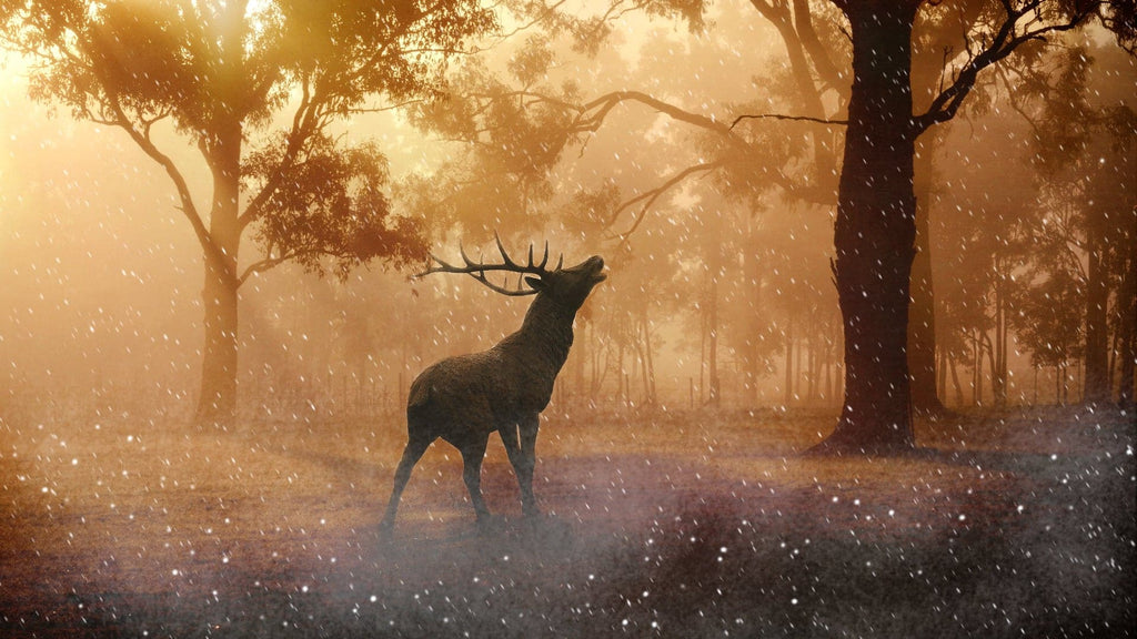 Pine Stretched  Framed 1 Panel - Deer