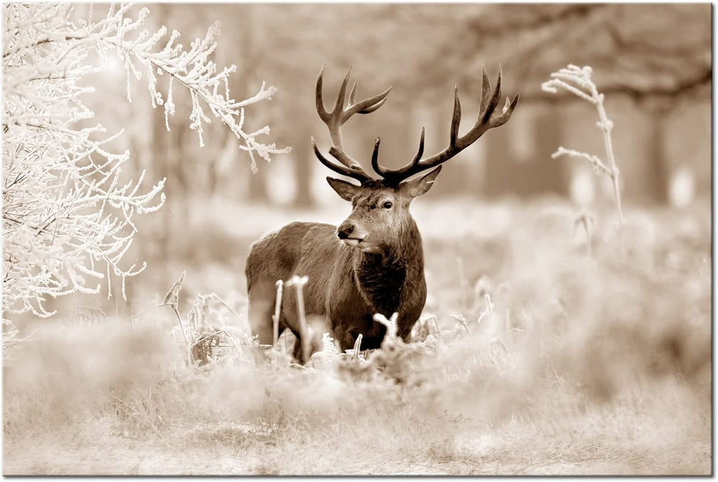 Pine Stretched  Framed 1 Panel - Deer