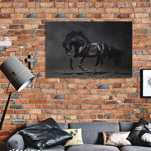 Framed 1 Panel - Black Horse