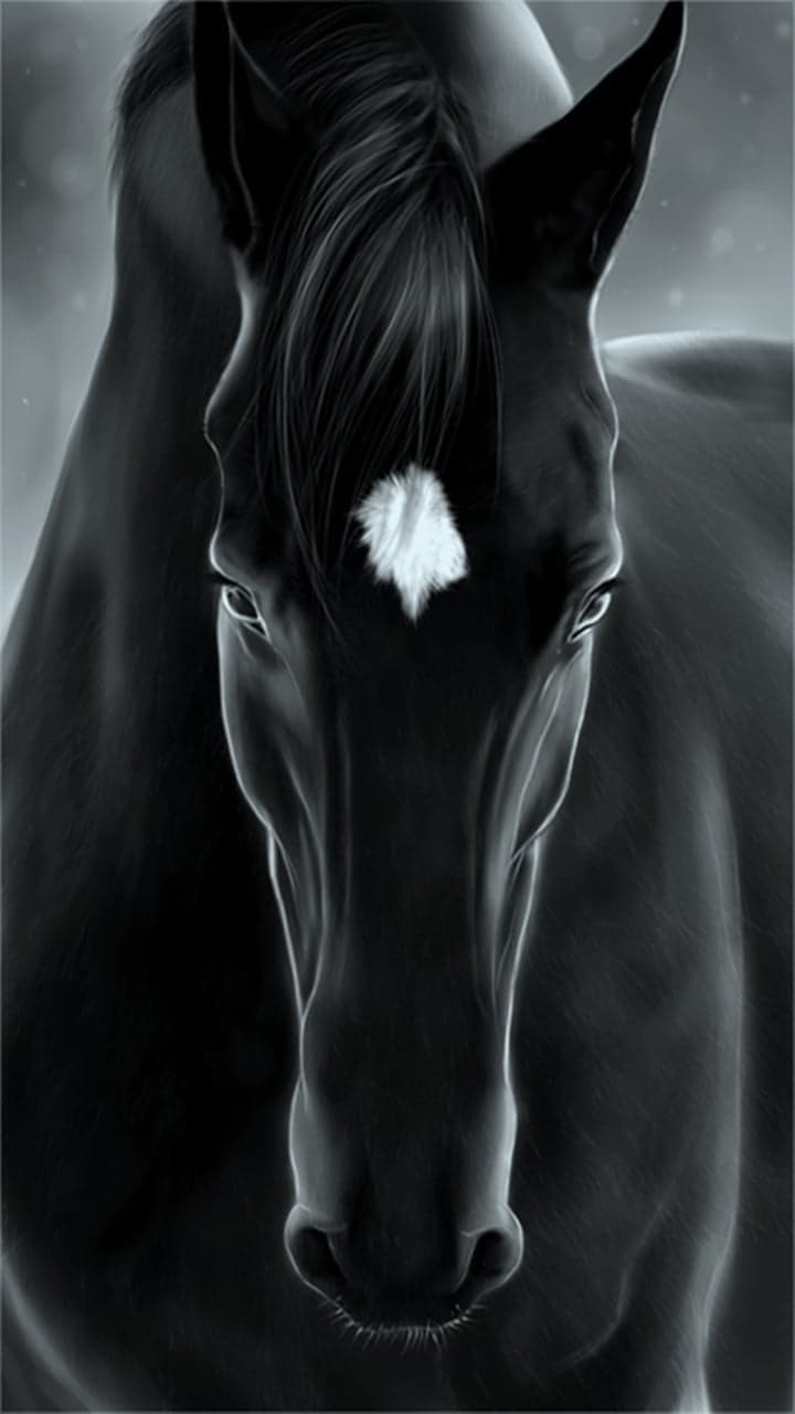 Pine Stretched  Framed 1 Panel - Horse
