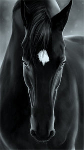 Pine Stretched  Framed 1 Panel - Horse