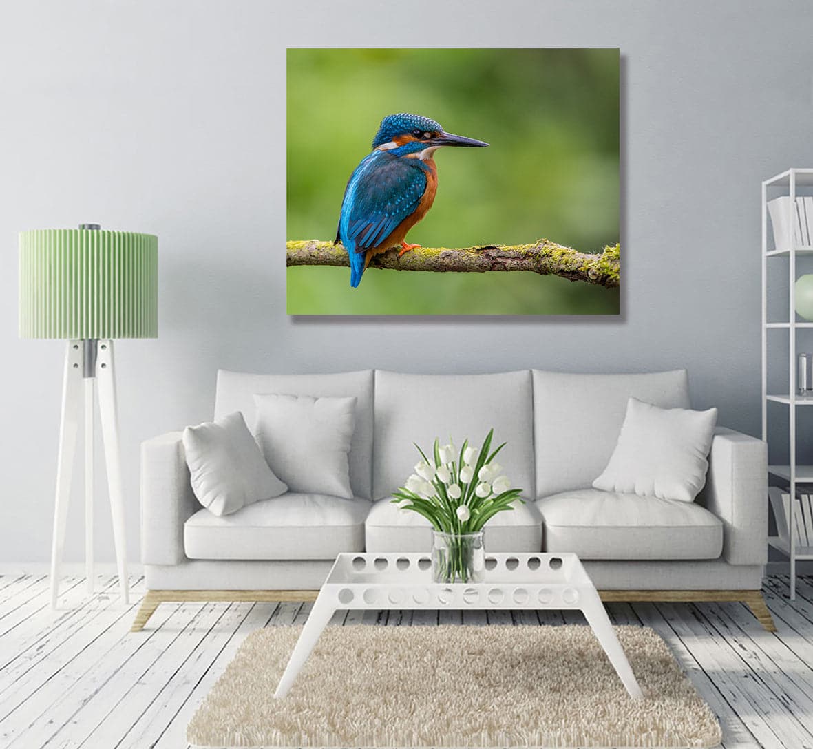 Framed 1 Panel - Kingfisher