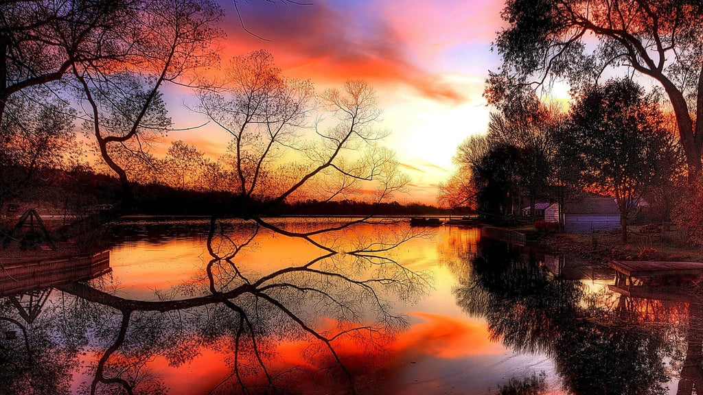 Pine Stretched  Framed 1 Panel - Sunset