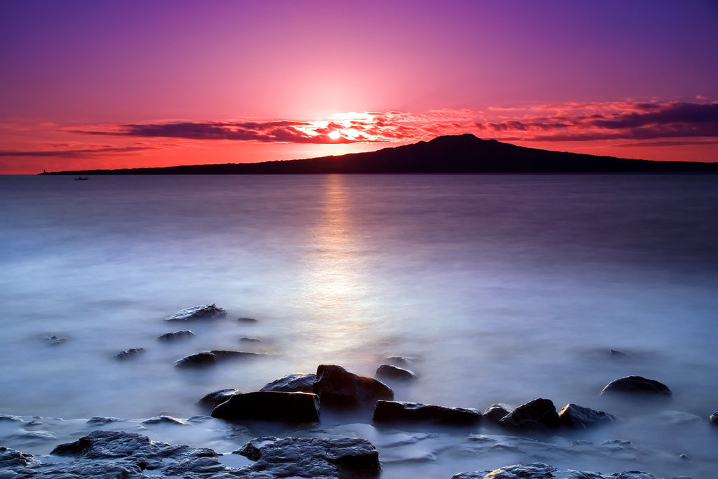 Pine Stretched  Framed 1 Panel - Rangitoto