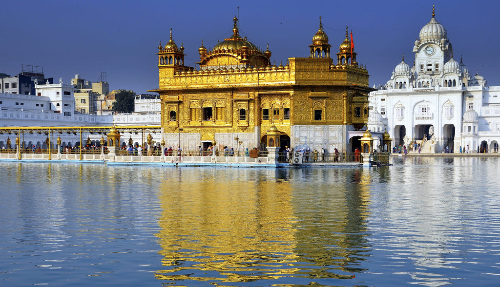 Pine Stretched  Framed 1 Panel - Golden Temple
