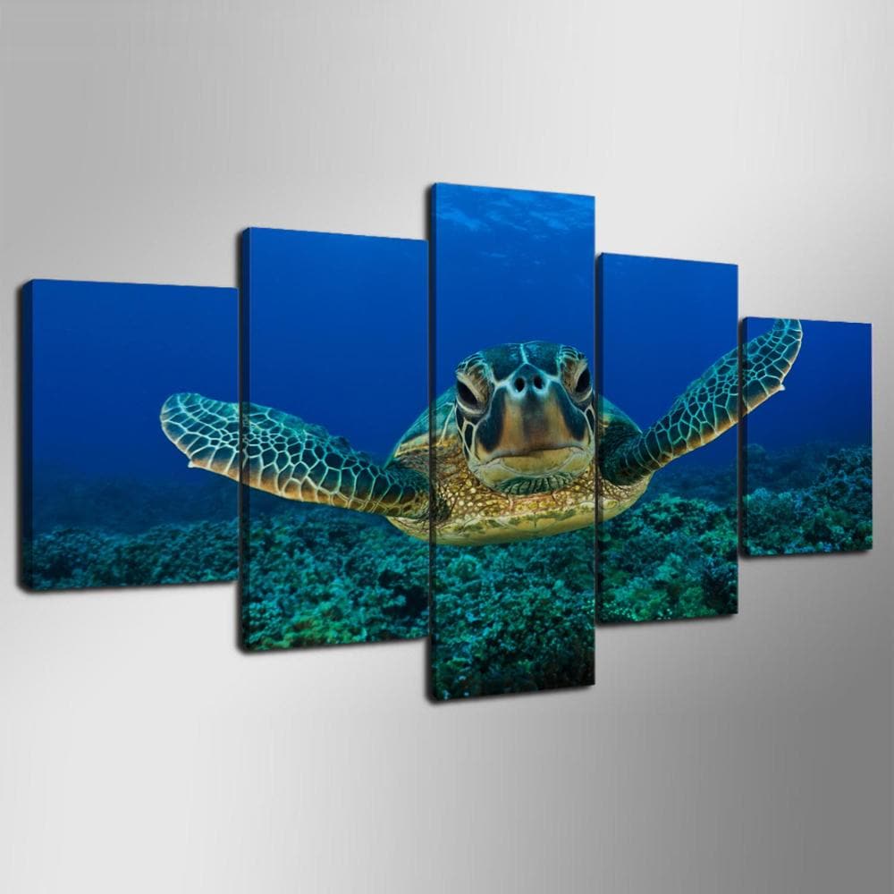 Framed 5 Panels - Sea Turtle