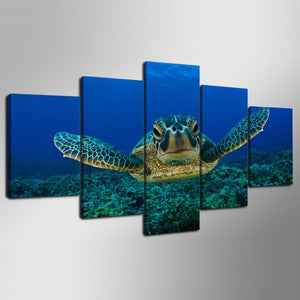 Framed 5 Panels - Sea Turtle