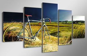 Framed 5 Panels - Bicycle