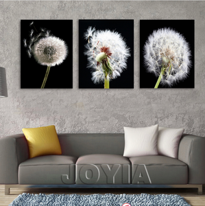 Framed 3 Panels - Dandelion