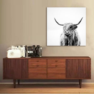 Framed 1 Panel - Highlander Cow