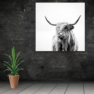 Framed 1 Panel - Highlander Cow