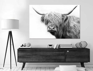 Framed 1 Panel - Highlander Cow