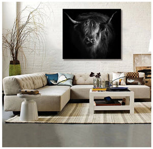 Framed 1 Panel - Highlander Cow