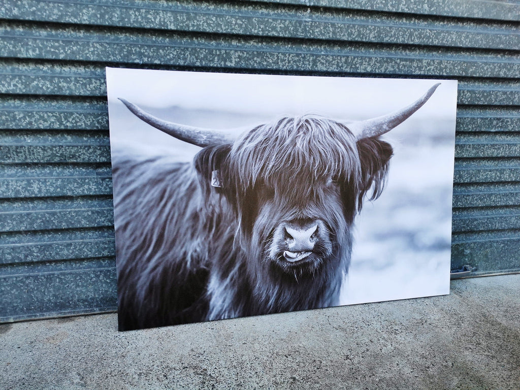 Pine Stretched  Framed 1 Panel - Finished Products - Highlander Cow