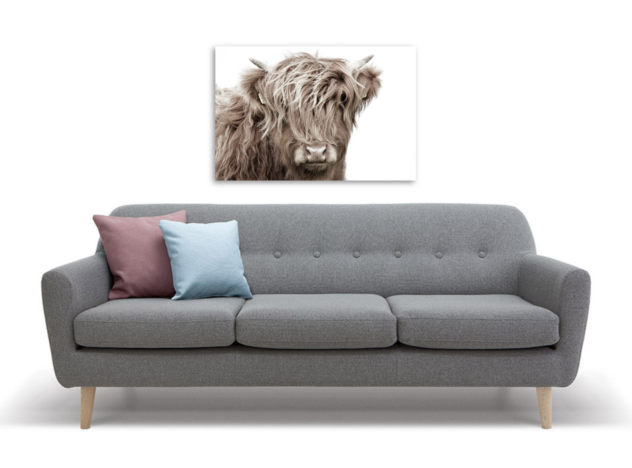 Framed 1 Panel - Highlander Cow