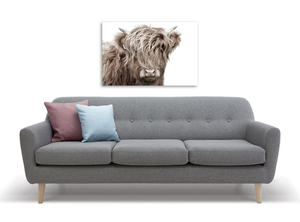 Framed 1 Panel - Highlander Cow