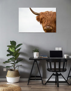 Framed 1 Panel - Highlander Cow