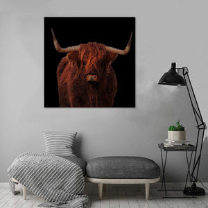 Framed 1 Panel - Highlander Cow