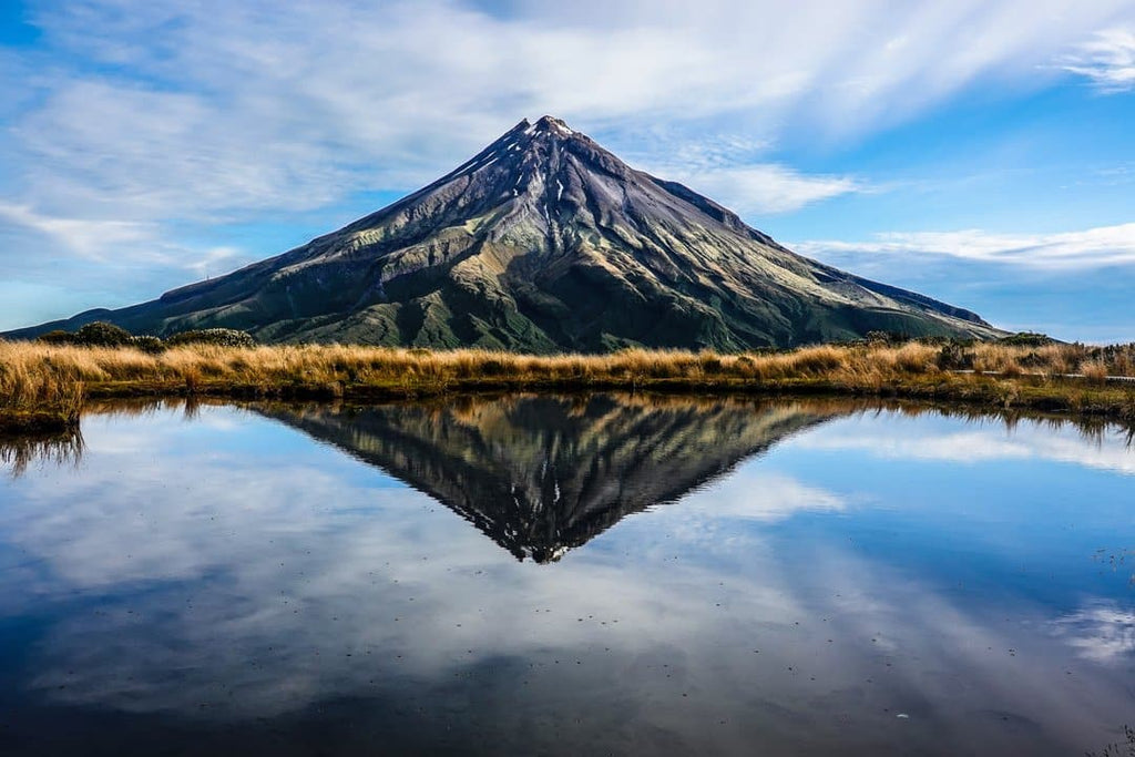 Pine Stretched  Framed 1 Panel - Mount Taranaki