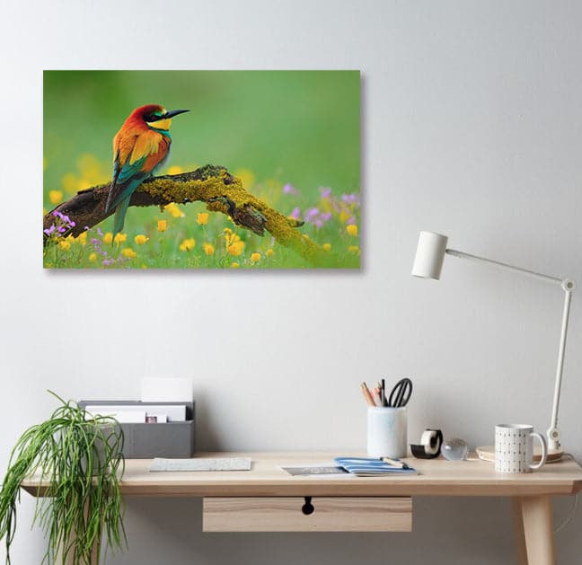 Pine Stretched  Framed 1 Panel - Bee Eater