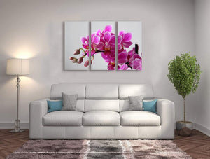 Pine Stretched  Framed 3 Panels - Orchid