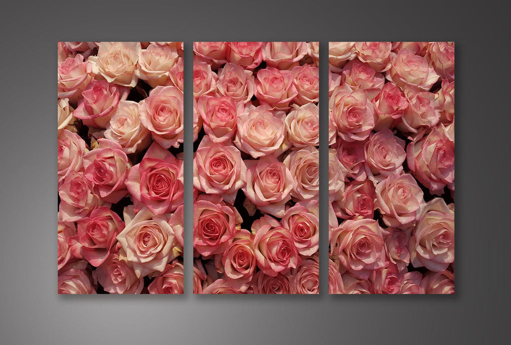 Pine Stretched  Framed 3 Panels - Roses