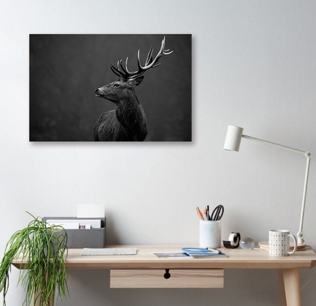 Framed 1 Panel - Red Deer