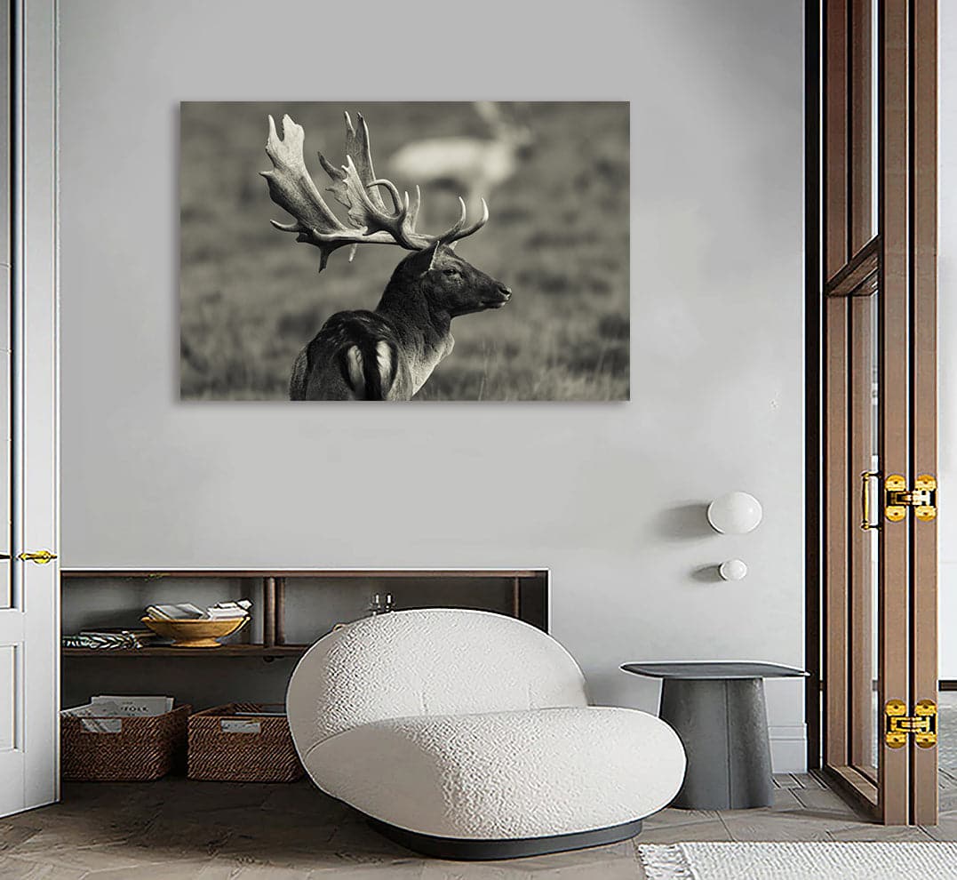 Pine Stretched  Framed 1 Panel - fallow Deer